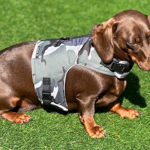 Waterproof Dachshund Harness: Fleece Lined, No-Rub Design
