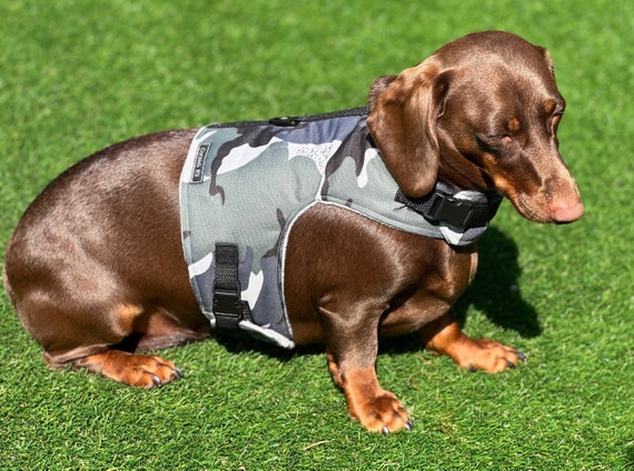 Arnes impermeable Dachshund arnes para perros chaleco impermeable para perros sin arnes para frotar las axilas Etsy Mexico