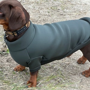 Traje de neopreno para perro salchicha: traje para patas delanteras, mono lavable