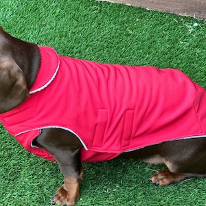 May include: A brown dachshund wearing a red dog coat with a gray fleece lining. The dog is sitting on green artificial grass.