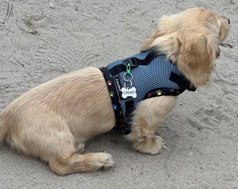 Made-to-Order Dachshund Harness: Petrol Spacer Mesh, No Armpit Rub
