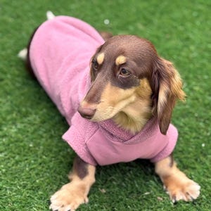 Sudadera impermeable para perro salchicha: forro polar, carcasa suave que repele el barro