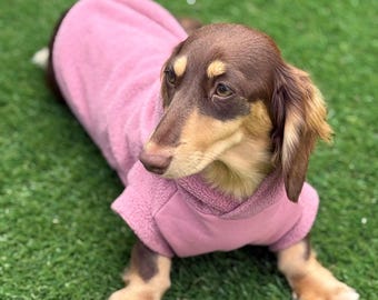 Waterproof Dachshund Hoodie: Fleece Lined, Mud Repellent Soft Shell