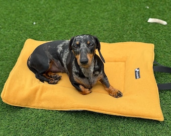 Tartan Quilted Dog Travel Mat: Reversible Fleece Picnic Pad