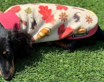 Personalized Dachshund Fleece Jumper: Water Repellent Dog Coat