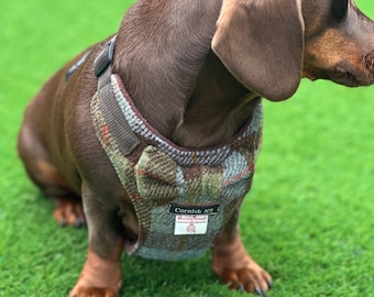 Harris Tweed Dachshund Harness: Padded Fleece, No-Choke Design