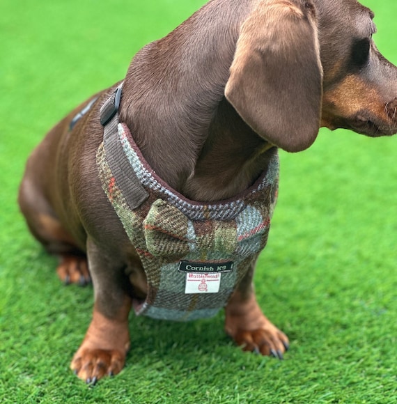 Harris tweed dog harness clearance