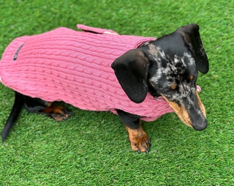 Manteau en tricot torsadé teckel, manteau pour chien, manteau pour chien couvrant la poitrine de teckel, veste pour chien, veste de teckel