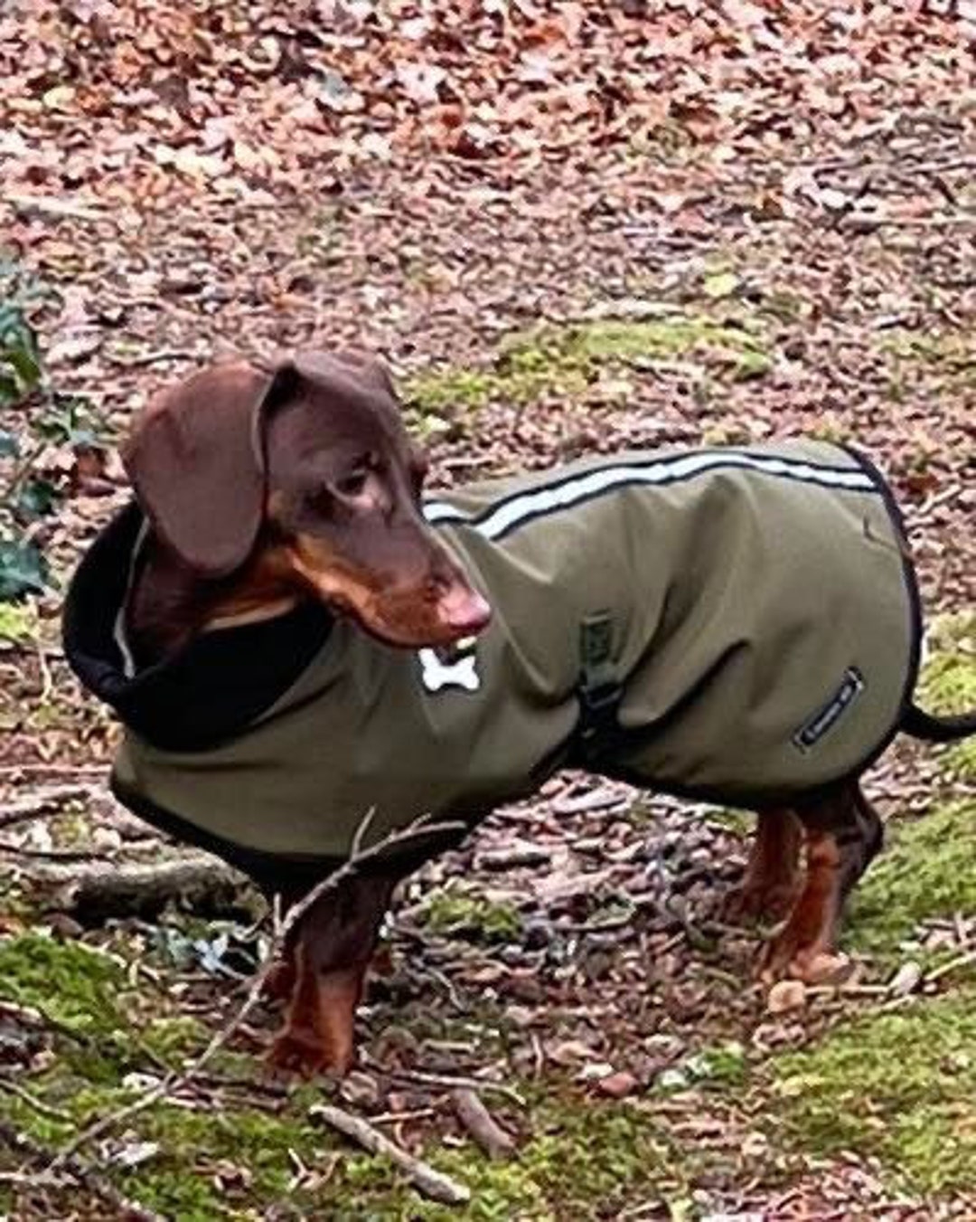 Water Repellent Dog Coat , Soft Shell Dog Coat ,winter Dog Coat , Pet
