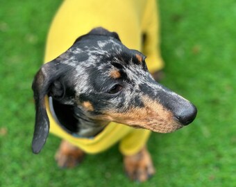 Bamboo dog anti allergy oneise ,dachshund cooling top ,dachshund pyjamas ,dog  all in one  ,washable dog jumper,dog jersey jumpsuit