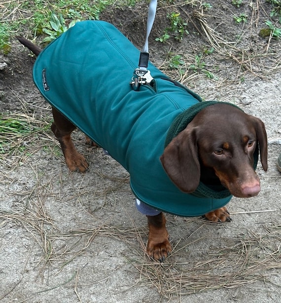 Wasserdichter Softshell Dackel Hundemantel: Fleece gefttert, winddicht -  Etsy.de