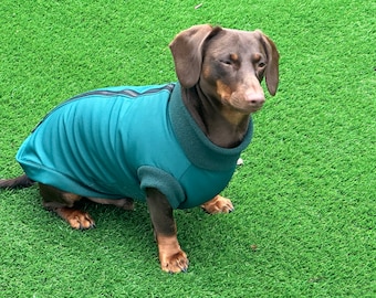 Waterproof Dachshund Softshell Dog Coat: Fleece Lined, Mud Repellent