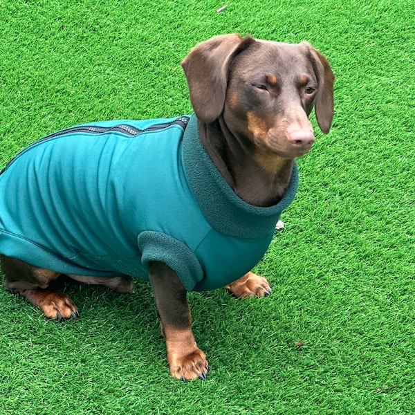 Dachshund Jacket Etsy