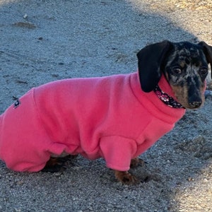 May include: A black and brown dachshund wearing a pink fleece dog sweater on a sandy beach.