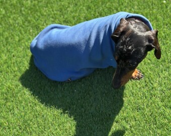 Dachshund Fleece Sweatshirt: Washable Dog Jumper