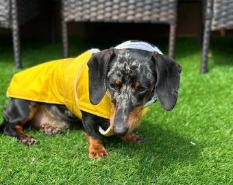 Waterproof Waxed Dachshund Coat: Fleece Lined Winter Dog Coat