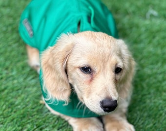 Waterproof Fleece-Lined Dachshund Coat: Lightweight Spring Dog Apparel