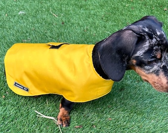 Waterproof Dachshund Coat: Lightweight Nylon, Cotton Lined, Travel Dog Coat