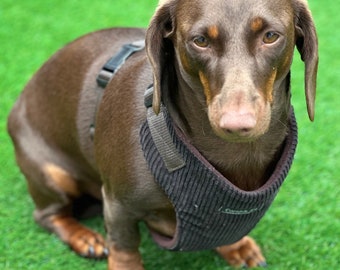Corduroy Dachshund Harness: Fleece Lined, No-Choke Design