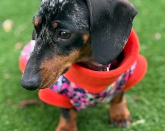 Dachshund Print Softshell Fleece Dog Jacket: Waterproof Jumper