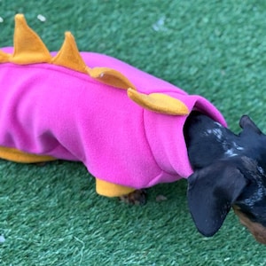 Dachshund dino  fleece ,dog jumper,dachshund jumper , dachshund fleece,dachshund  jacket