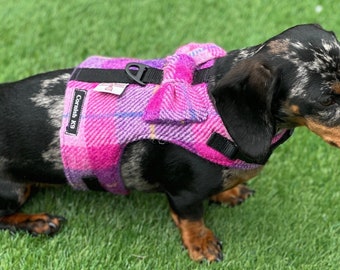 Harris Tweed Dachshund Harness: Fleece Lined Dog Vest with Bow