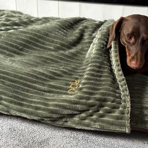 Cama cueva para perros de espuma viscoelástica de pana: Cama cueva personalizada y acogedora