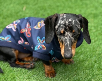 Dachshund Softshell Fleece Jumper: Waterproof Dog Coat, Butterfly Print