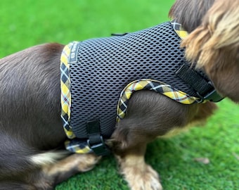 Made-to-Measure Dachshund Harness: Cornish Tartan Trim, No-Rub Design