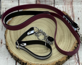 Waterproof Biothane Dog Collar & Lead Set: Silver Hardware, Medium (13-16 inch