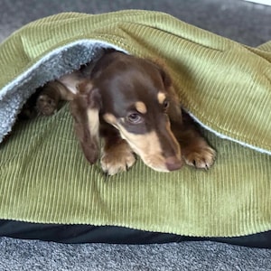 Corduroy Dachshund Bed Cave: Sherpa Fleece Snuggle Sack, Personalized Dog Sleeping Bag