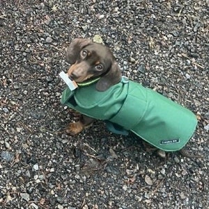 Made to Measure Waterproof Dachshund Dog Coat: Fleece Lined Winter Wear