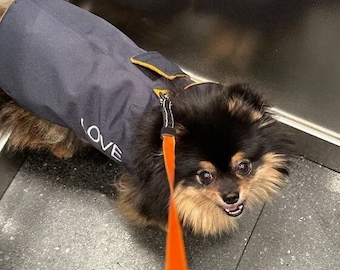 Waterproof Cordura Dachshund Coat: Navy Fleece Lined Dog Jacket