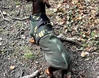 Dachshund Fleece Jumper: Water Repellent Dog Coat