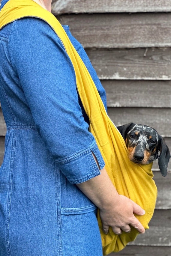 Dachshund sling carrier hotsell