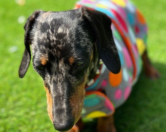 Polka Dot Dachshund Fleece Dog Coat: Water & Mud Repellent