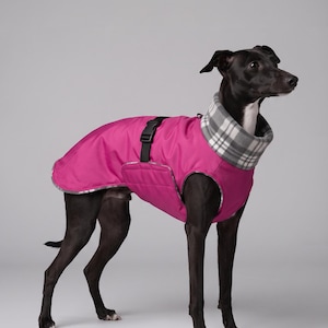 Puede incluir: Un perro negro lleva puesto un abrigo para perro de color rosa brillante con un cuello de forro polar a cuadros grises y blancos. El abrigo cuenta con una correa negra ajustable con hebilla de plástico y ribetes reflectantes.