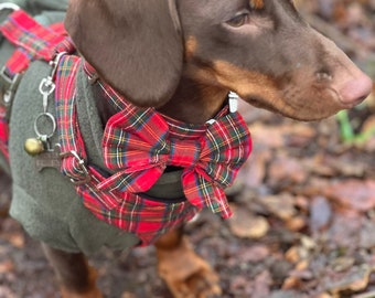 Tartan Dachshund Harness: Padded Fleece, No-Choke Design
