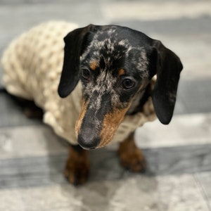 Dackel Minky Fleece Hundepullover: Waschbar, weiches Polyester