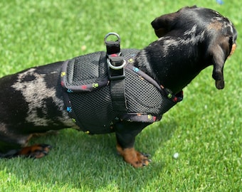 Made-to-Order Dachshund Harness: Black Spacer Mesh, Paw Print Trim