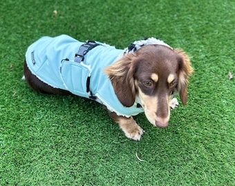 Waterproof Softshell Dachshund Coat: Sherpa Fleece Lined, Windproof