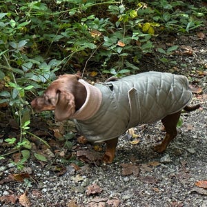Waterproof Quilted Dachshund Dog Coat: Fleece Lined, Belly Covering