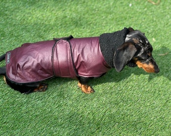 Dachshund Wax coats