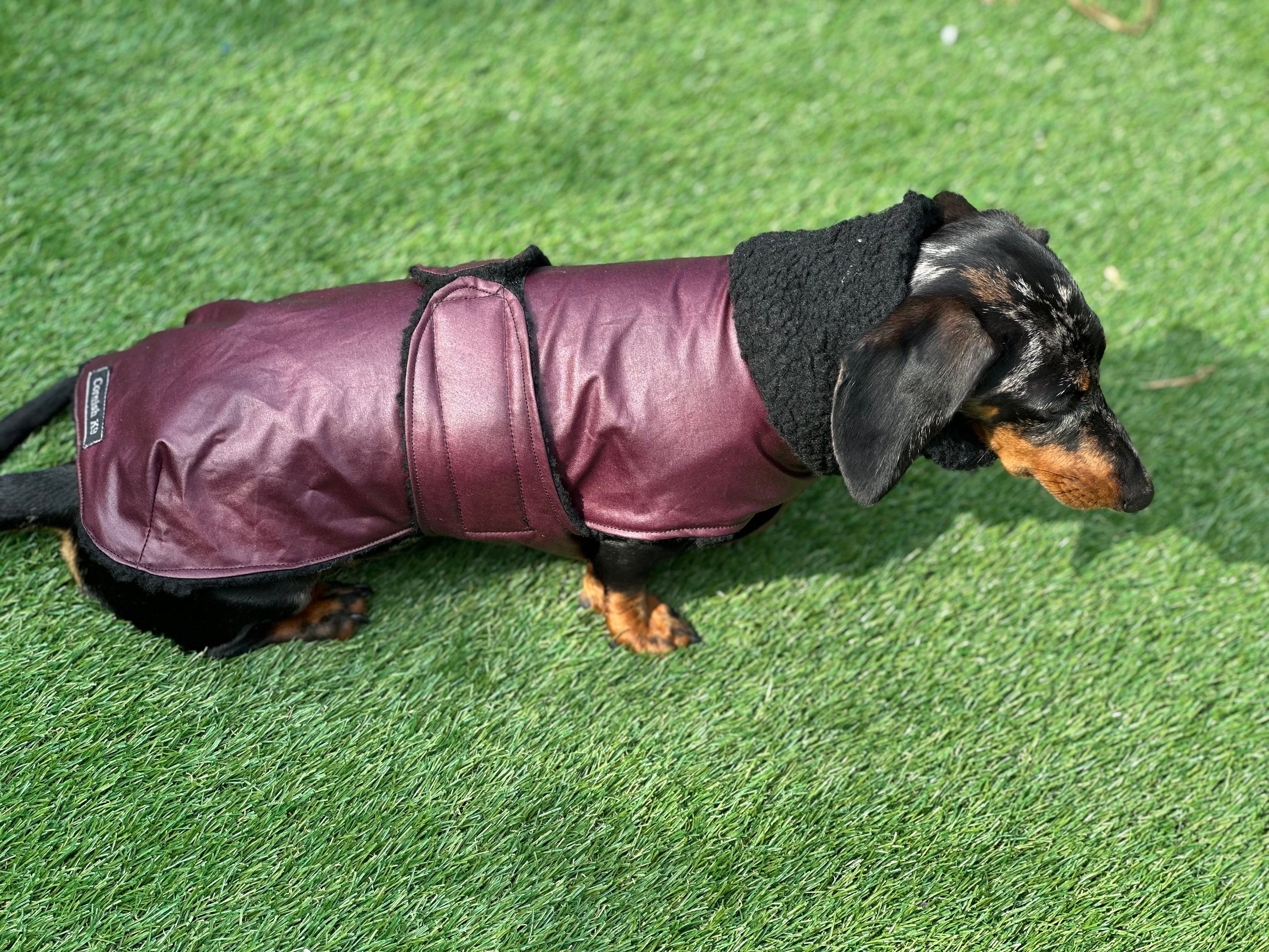 Dachshund Dry Wax Dog Coat dog Coat winter Dog Coat Dachshund Coat belly Covering Dog Coat waterproof Dachshund Coat Etsy