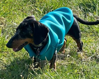 Dachshund Neoprene Dog Jumper: Stretchy, Insulated, Open-Neck