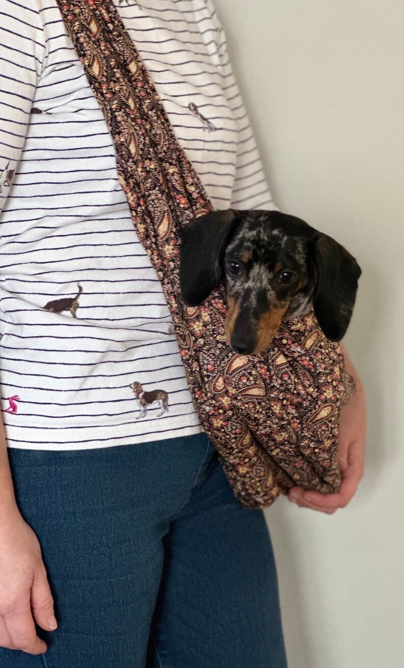 Op de afbeelding: Een zwart-witte teckel puppy die wordt gedragen in een bruine en cr&egrave;mekleurige paisley-geprinte draagzak. De draagzak wordt gedragen door iemand die een wit gestreept shirt en een blauwe jeans draagt.