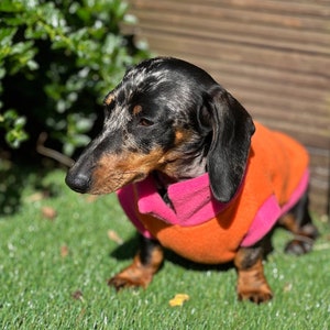 Dachshund open neck Fleece ,dachshund  tankies, dog jumper, dog fleece ,washable dog jumper,Water & Mud Repellent dog suit