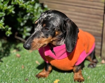 Water Repellent Dachshund Fleece Jumper: Open Neck Dog Tankie