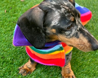 Dachshund Fleece Dog Coat: Double Layered, Water Repellent