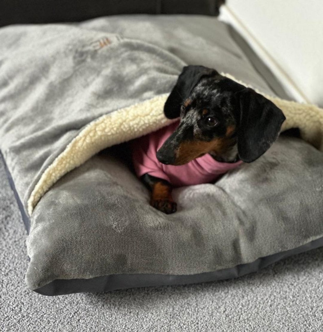 Personalised Dachshund Snuggle Borrowing Bed Dog Memory Foam Bed